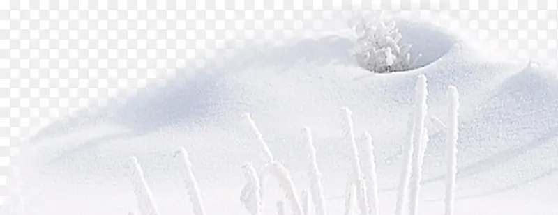 雪地浪漫冬季图片