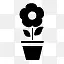 pot flower icon