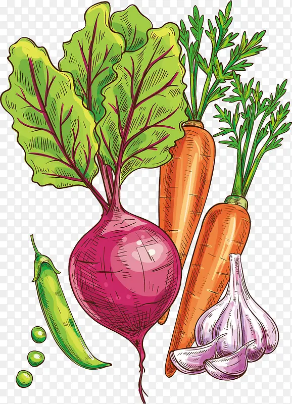 手绘线条蔬菜