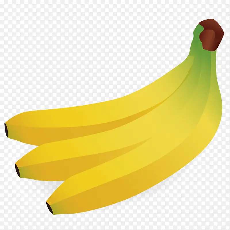 矢量手绘香蕉素材