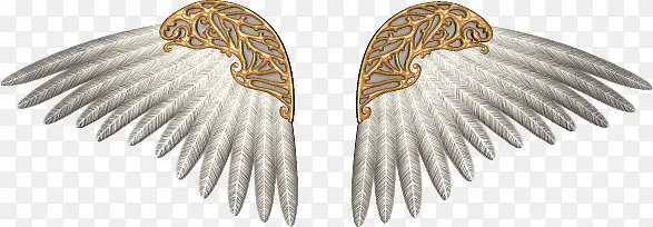 白金打造的翅膀