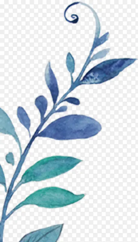 蓝色春季水彩植物树叶