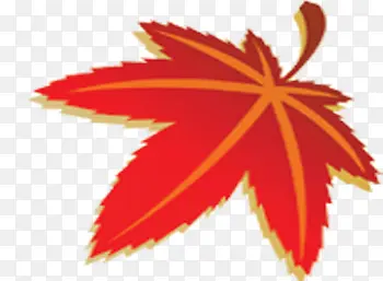 红色秋季枫叶装饰