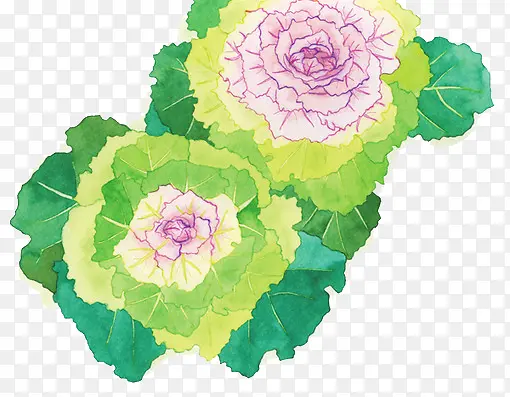 水彩花卉家纺装饰图