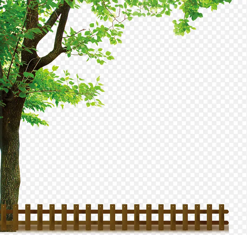 绿色树木和栅栏
