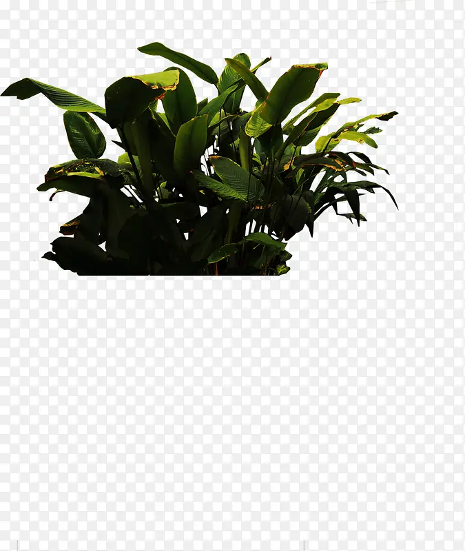 绿色植物地产海报装饰PNG图片素材下载_图片编号yxobbzmz-免抠素材网