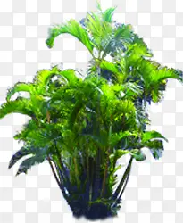 绿色植物摆件公园装饰