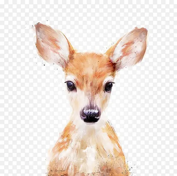 小鹿动物手绘插画