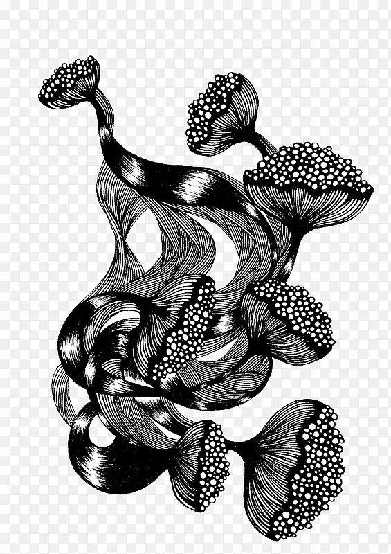 中国风黑白花艺术装饰图