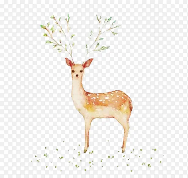 手绘水彩小鹿装饰图案