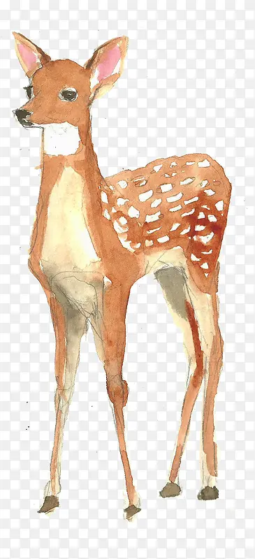 手绘水彩的小鹿