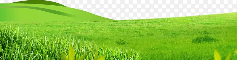 绿色草原风景