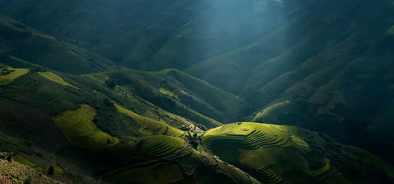 草原背景