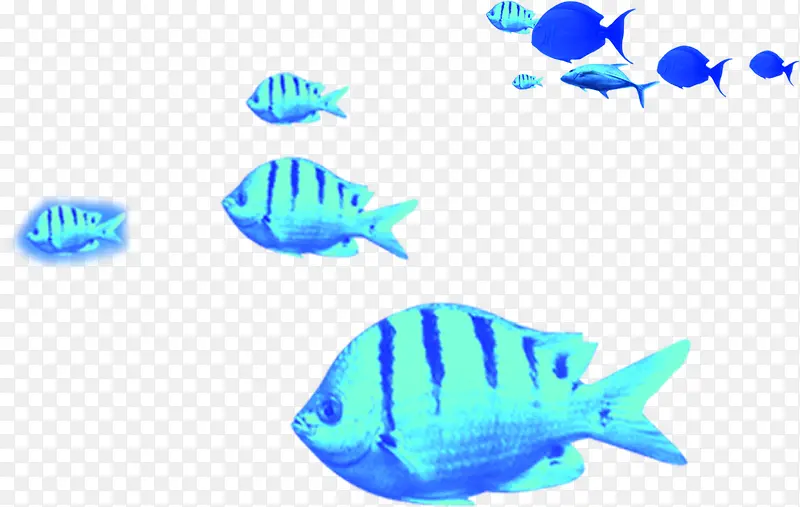 蓝色鱼群效果卡通动物