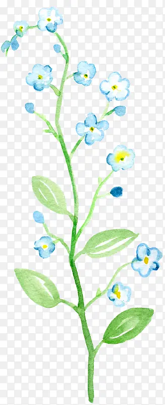 蓝色水彩小碎花枝滕曼