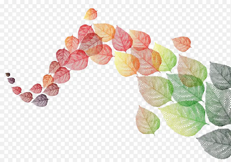 手绘彩色漂浮树叶