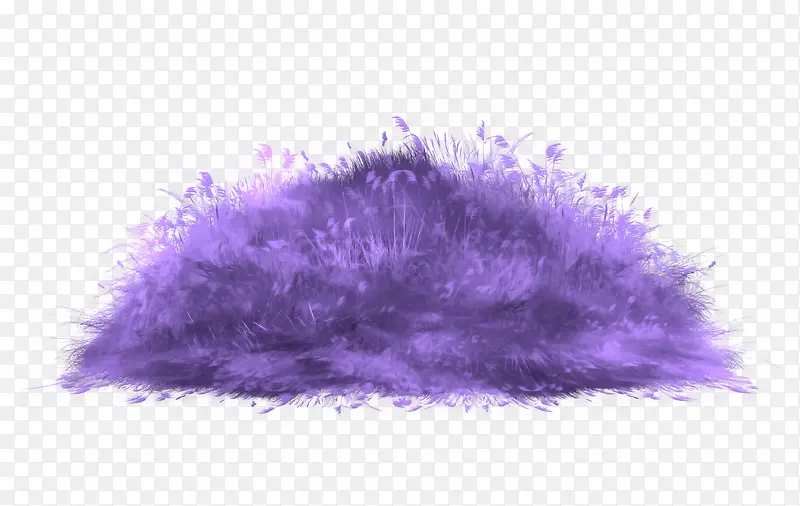 紫色草堆