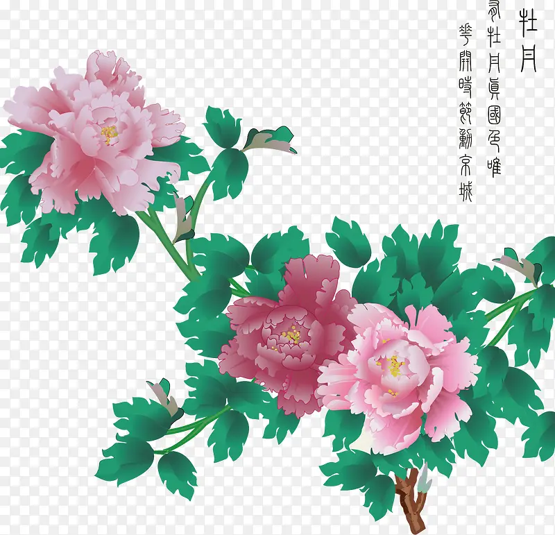 手绘清新中国花卉
