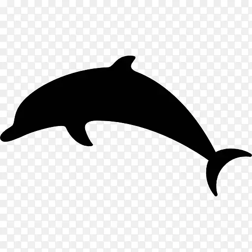 跳跃的海豚图标