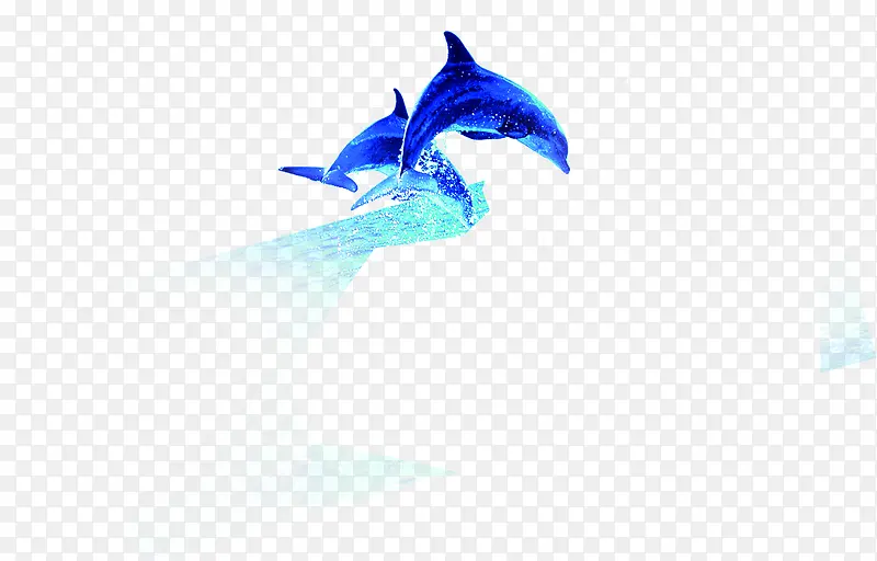 两条跳跃的蓝色海豚素材