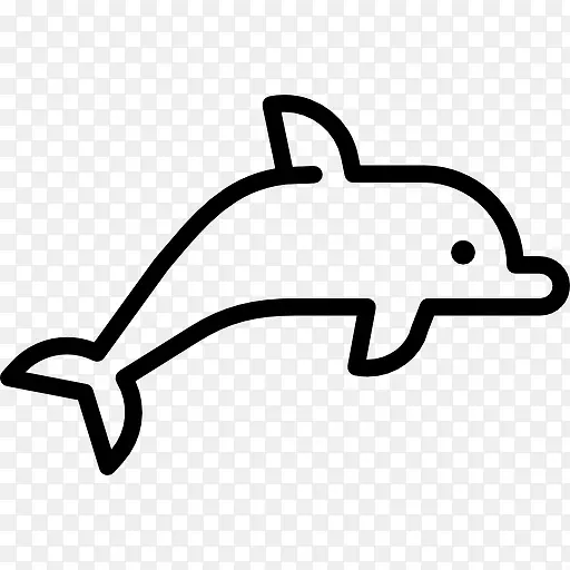 大海豚图标