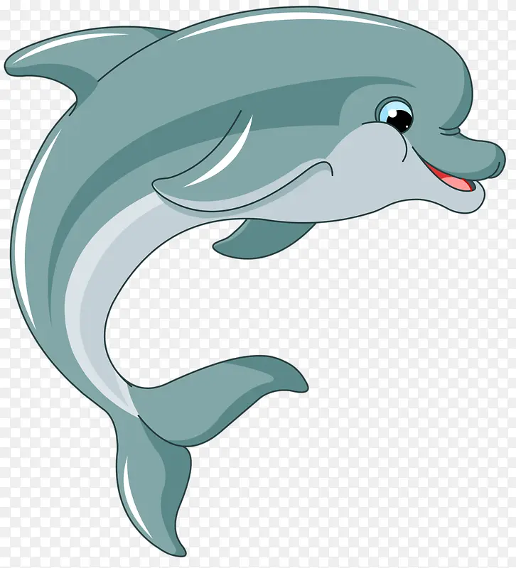 海豚