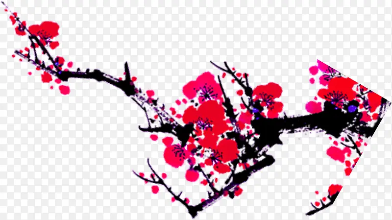 红色高清冬季梅花树枝