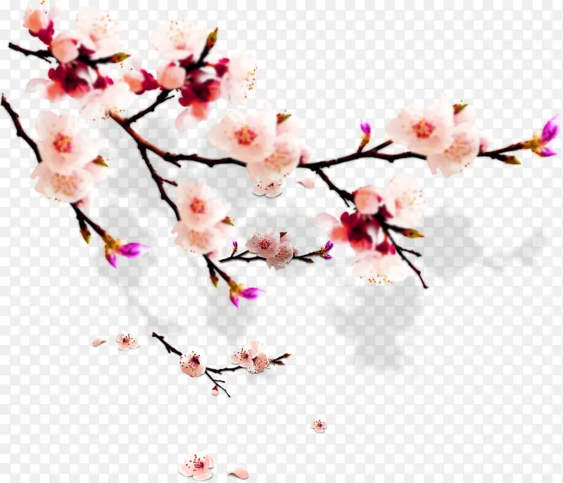 梅花毛笔艺术手绘