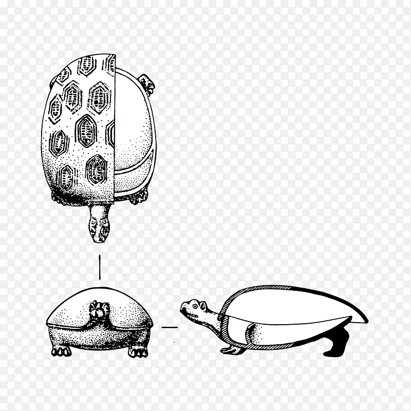 手绘龟形容器