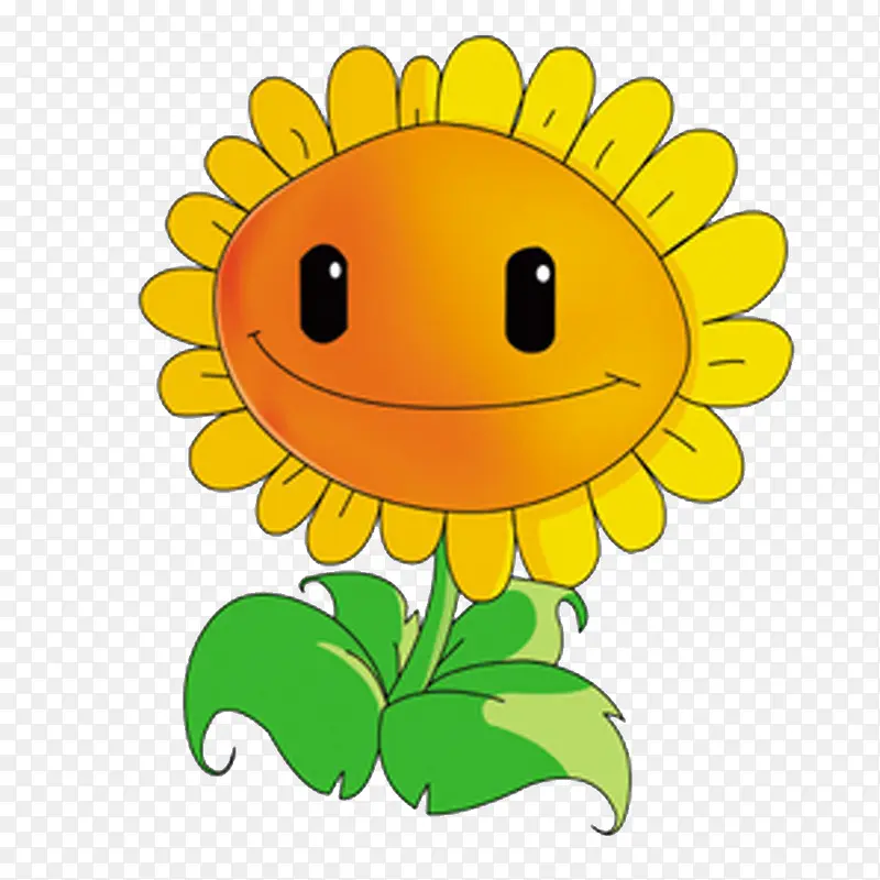 太阳花植物