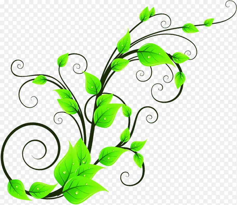 手绘水彩绿色的植物造型合成