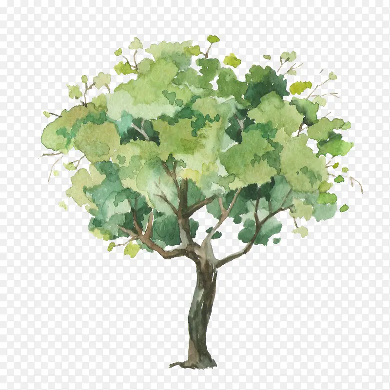 手绘水彩绿色树木