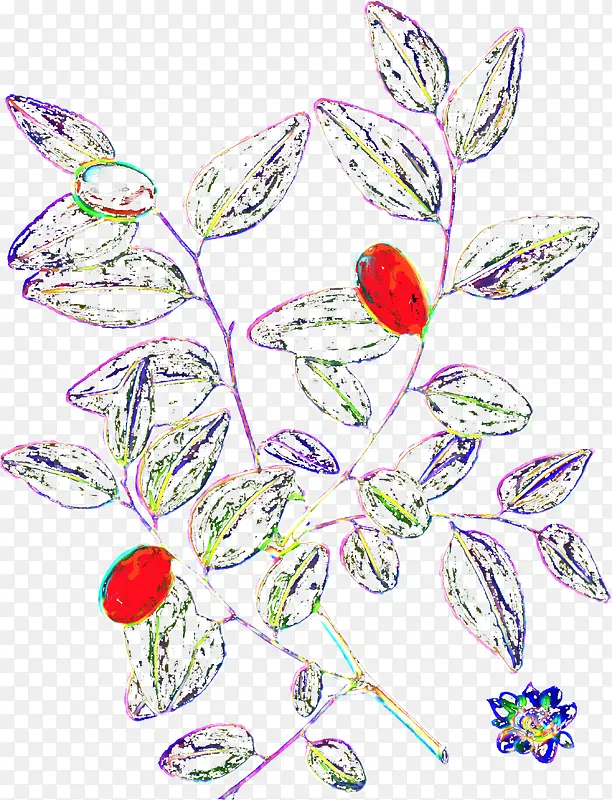 手绘插画艺术植物果实树叶