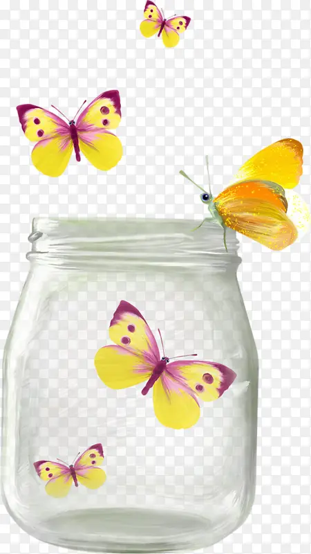 瓶子里的蝴蝶