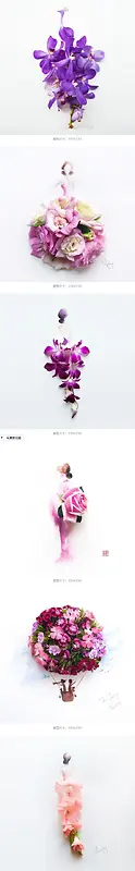 紫色的花
