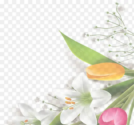 唯美百合花朵盛开装饰