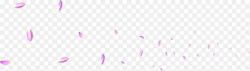 飘零紫色花瓣