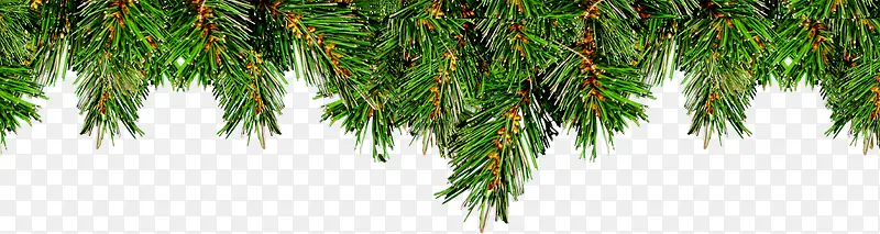 圣诞节元素素材树枝