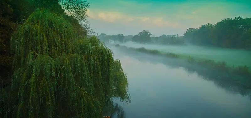 天空河流植物背景