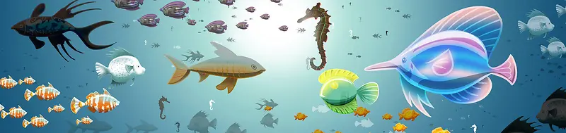 海洋鱼类banner创意设计