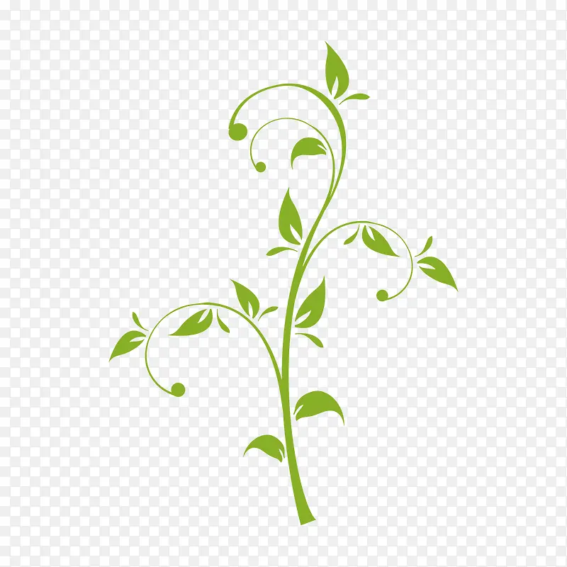 欧式花纹边框