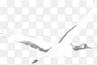 白色飞翔的仙鹤装饰