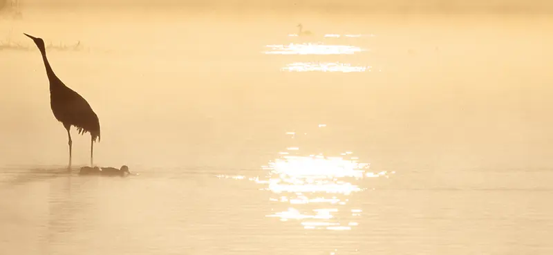 夕阳背景