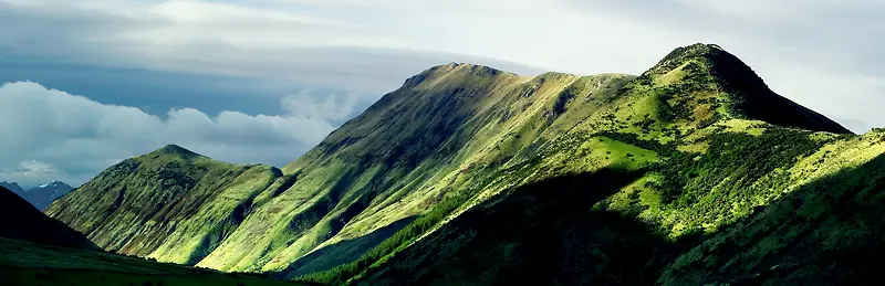 企业文化背景