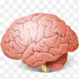 人体大脑的图标