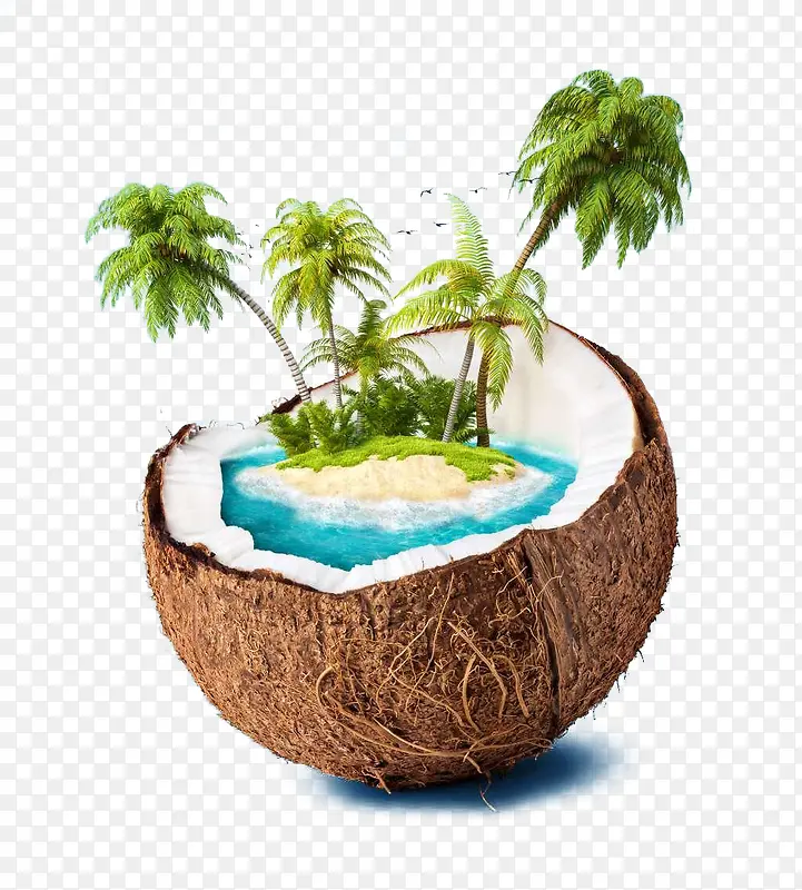 创意椰果椰树