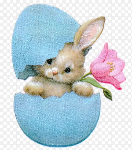 蛋壳小兔子