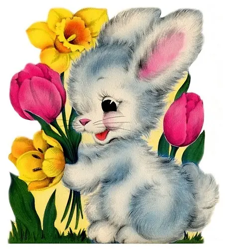 兔与花
