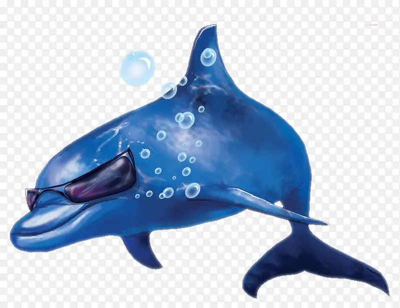 海底动物卡通戴墨镜鲨鱼蓝色