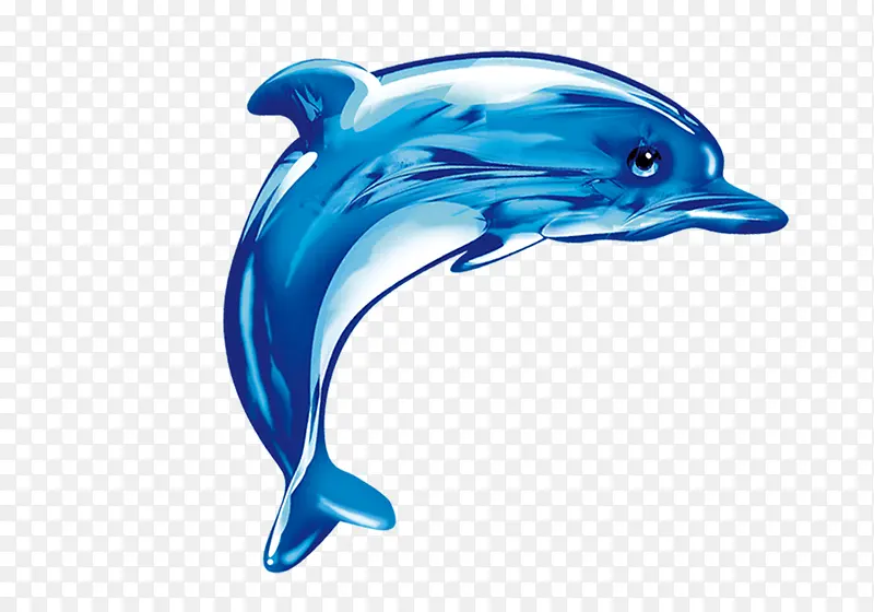 海豚手绘